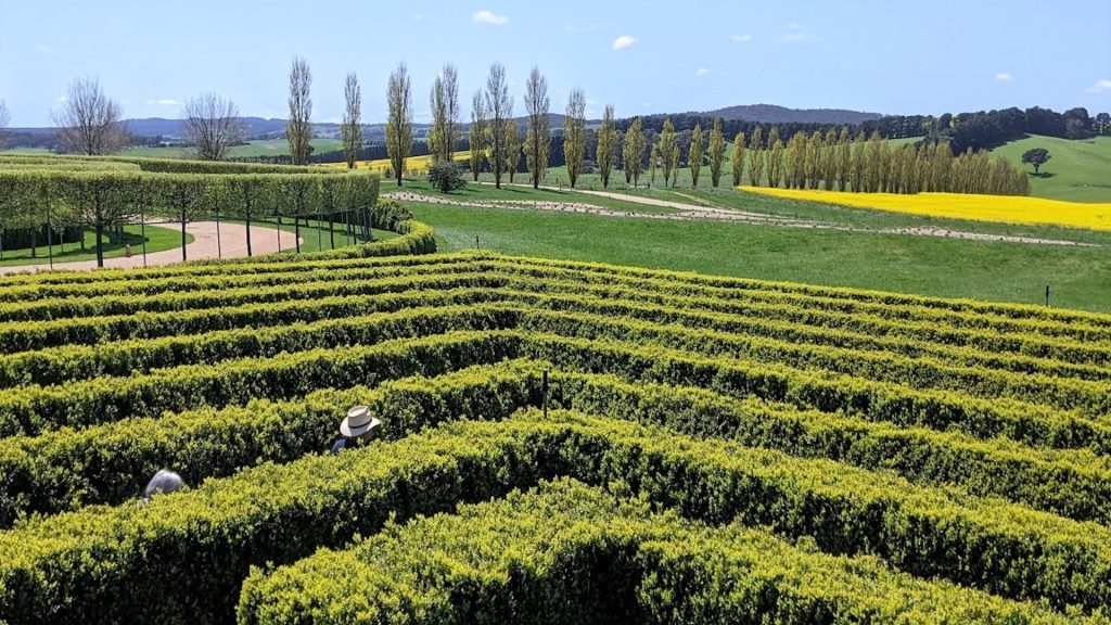 What to do as a Family in Oberon - Mayfield Maze